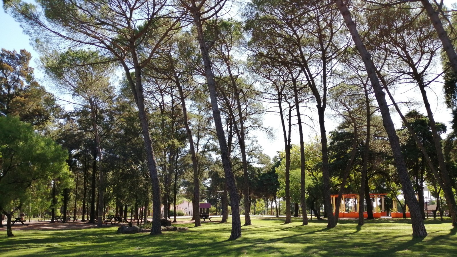 23.03.2020 Operativo en conjunto entre Ministerio del Interior y la Intendencia para mantener espacios públicos sin concentración de personas