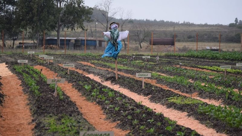 06.06.2020 Se realizó inauguración de la Huerta Comunitaria