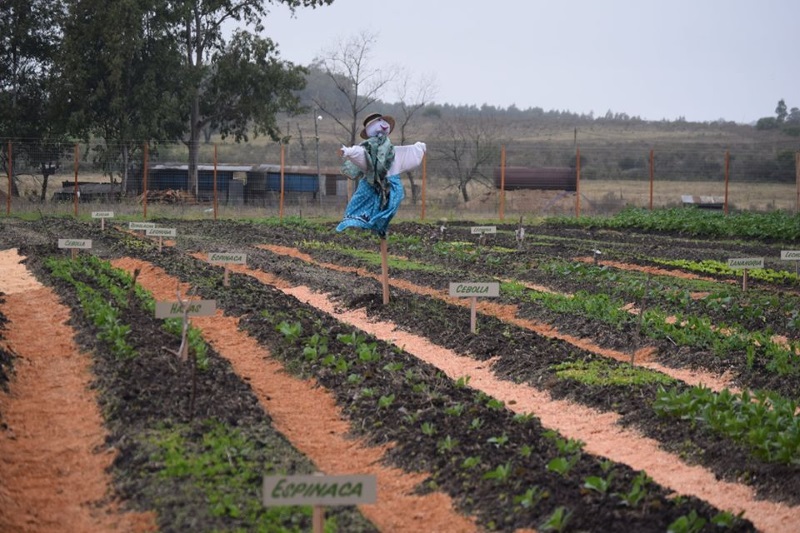 06.06.2020 Se realizó inauguración de la Huerta Comunitaria