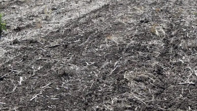 25.01.2021 Llamado a productores que necesiten limpieza de aguadas o tajamares ante déficit hídrico