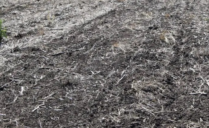 25.01.2021 Llamado a productores que necesiten limpieza de aguadas o tajamares ante déficit hídrico