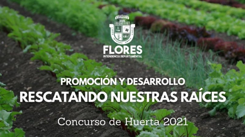 02.02.2021 Inscripciones a concurso de huertas se extiende hasta el 5 de febrero