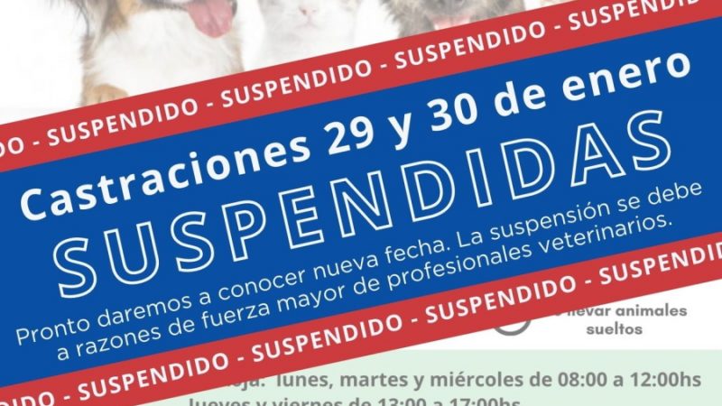 28.01.2022 Intendencia comunicó la suspensión de castraciones programadas