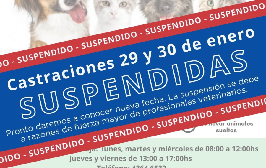 28.01.2022 Intendencia comunicó la suspensión de castraciones programadas