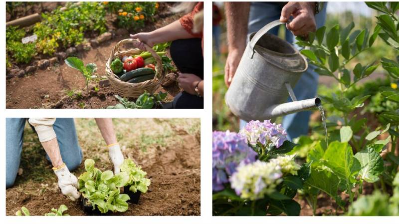 01.08.2023 Taller teórico-práctico de cultivos protegidos: Oportunidad para huertistas e interesados