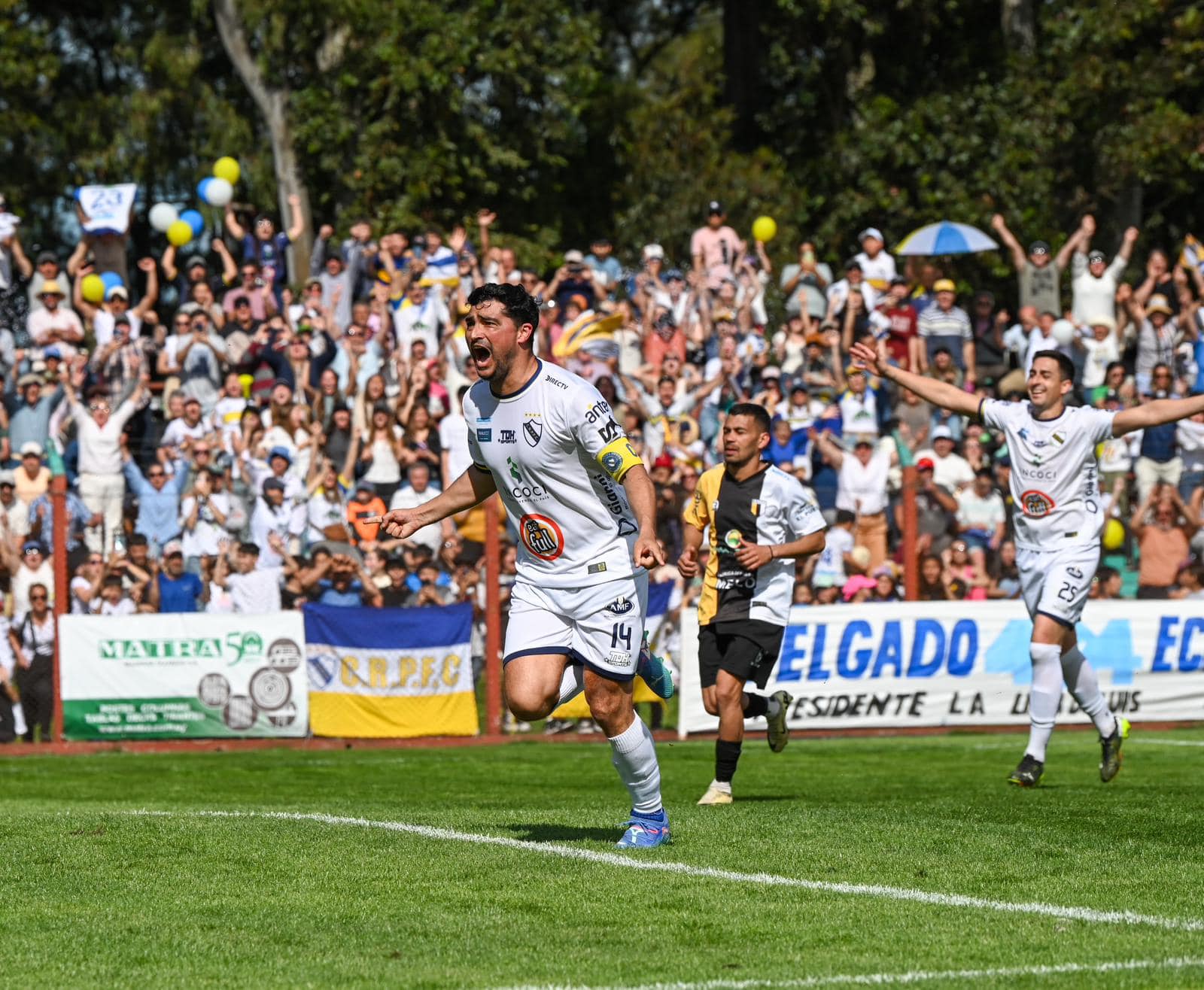 ¡Porongos es el campeón!