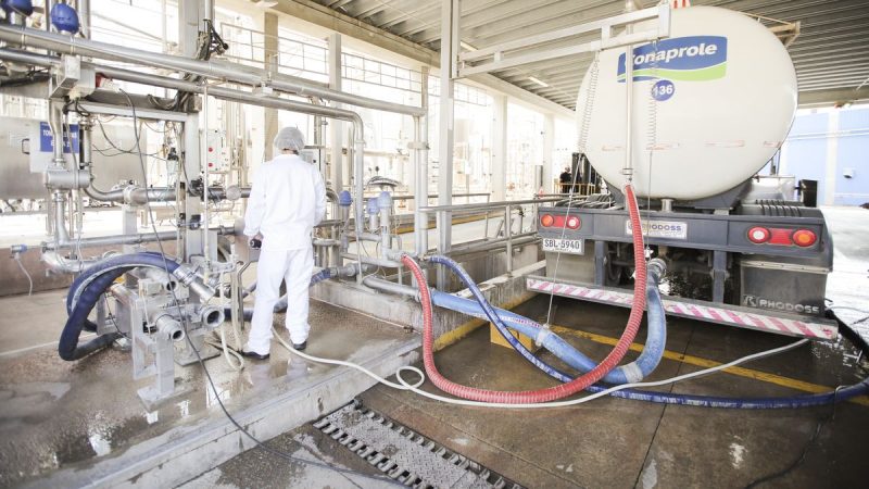 Consejo de Salarios: Cámara de la Industria Láctea responsabiliza al sindicato por demora en lograr un acuerdo