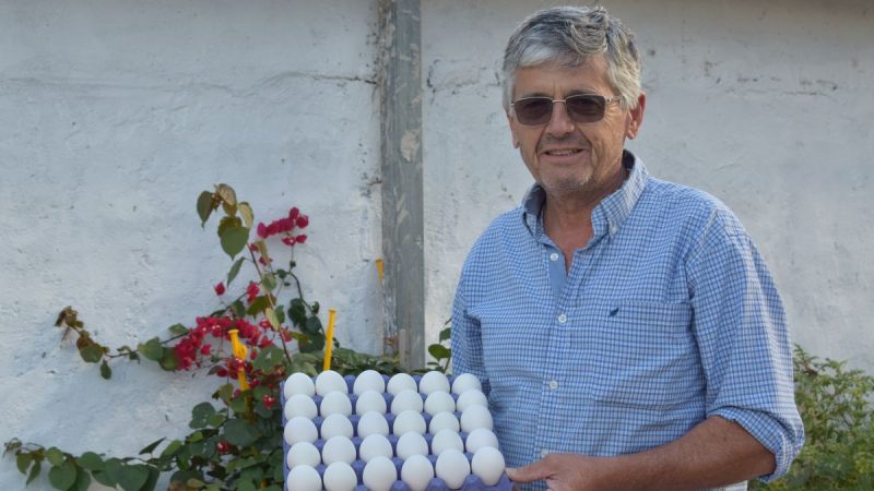 Danilo García: El Productor Avícola Que Impulsa el Huevo Blanco Como Aliado del Consumidor