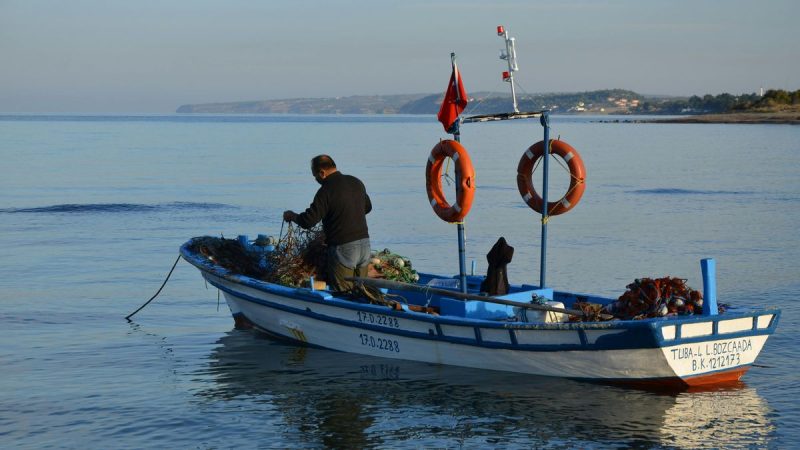 **MGAP establece prohibición urgente de consumo para tres productos marinos por alerta de marea roja**