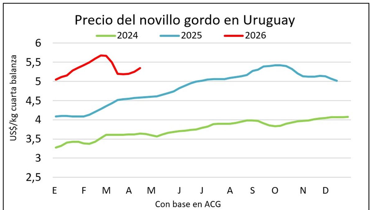 Se tonifican los negocios del mercado de ganado gordo y los terneros rompen récords de precios en plena zafra