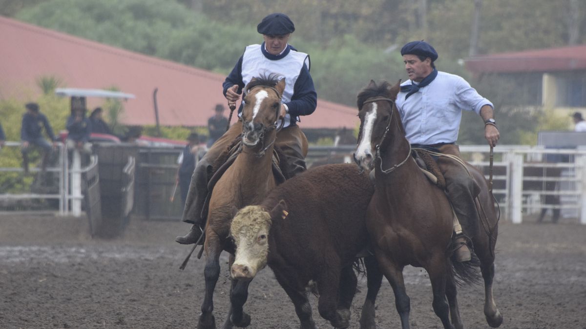 Uruguay se prepara para recibir el «Mundial de Caballos Criollos» en la Rural del Prado
