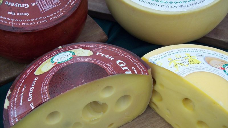 Uruguay: Ingresos por Exportaciones Lácteas Disminuyen Ligeramente, con Argelia y Brasil Afianzados como Principales Destinos