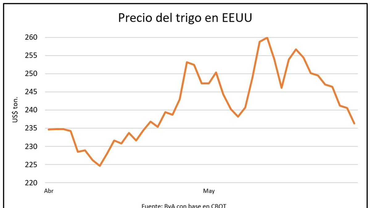 Trigo: fuerte caída de precios en medio de ajustes generales para los granos