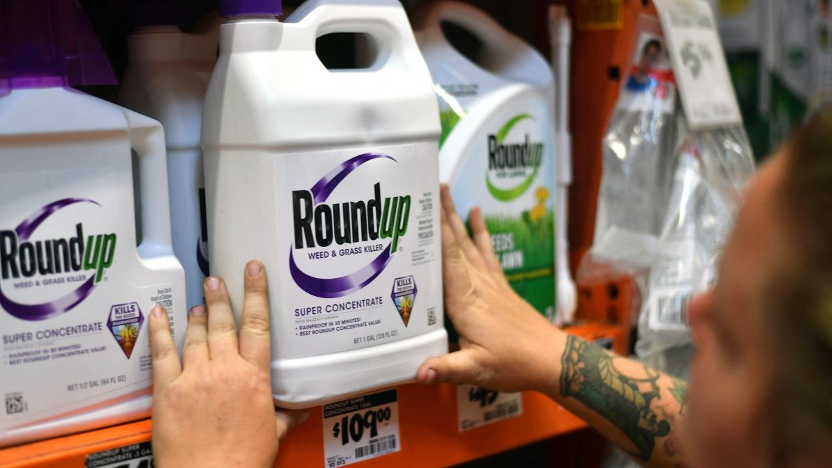 La Corte Suprema de EE. UU. falla a favor de Bayer en extenso litigio sobre el herbicida Roundup