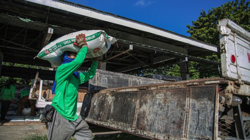 Uruguay: Un Respiro en los Costos de Fertilizantes en Medio de la Siembra de Invierno y sus Implicaciones
