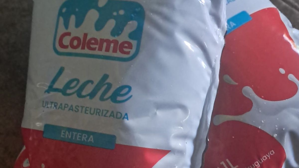 Vuelve Coleme: La Leche Retorna a Cerro Largo Gracias a un Convenio con Urulac
