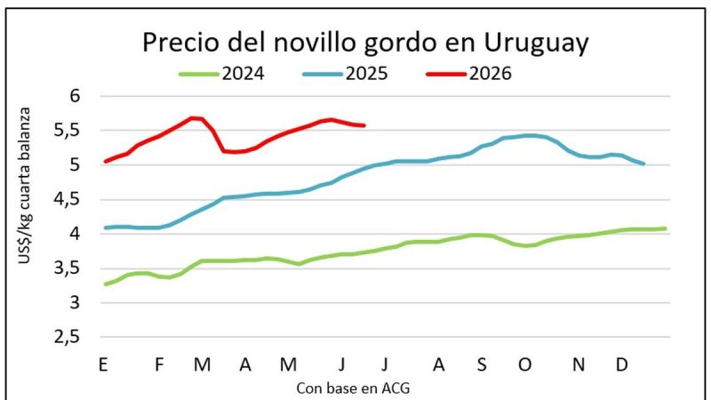 El mercado de haciendas uruguayo se fortalece, con recuperación en la faena y alzas en los precios