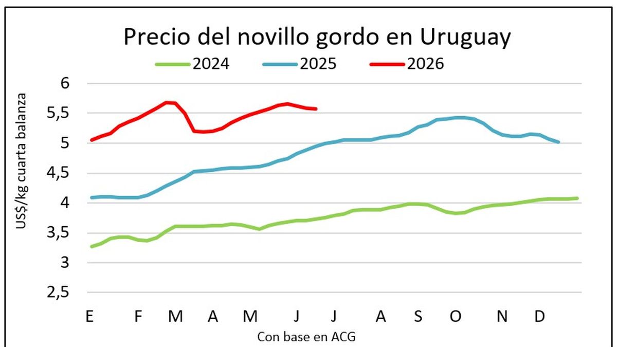 El mercado de haciendas uruguayo se fortalece, con recuperación en la faena y alzas en los precios