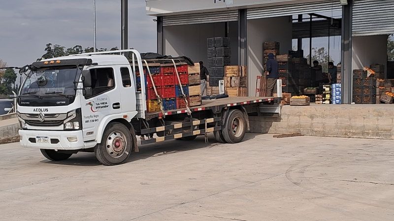 Central Hortícola del Norte: Primer Balance Tras un Mes de Operación