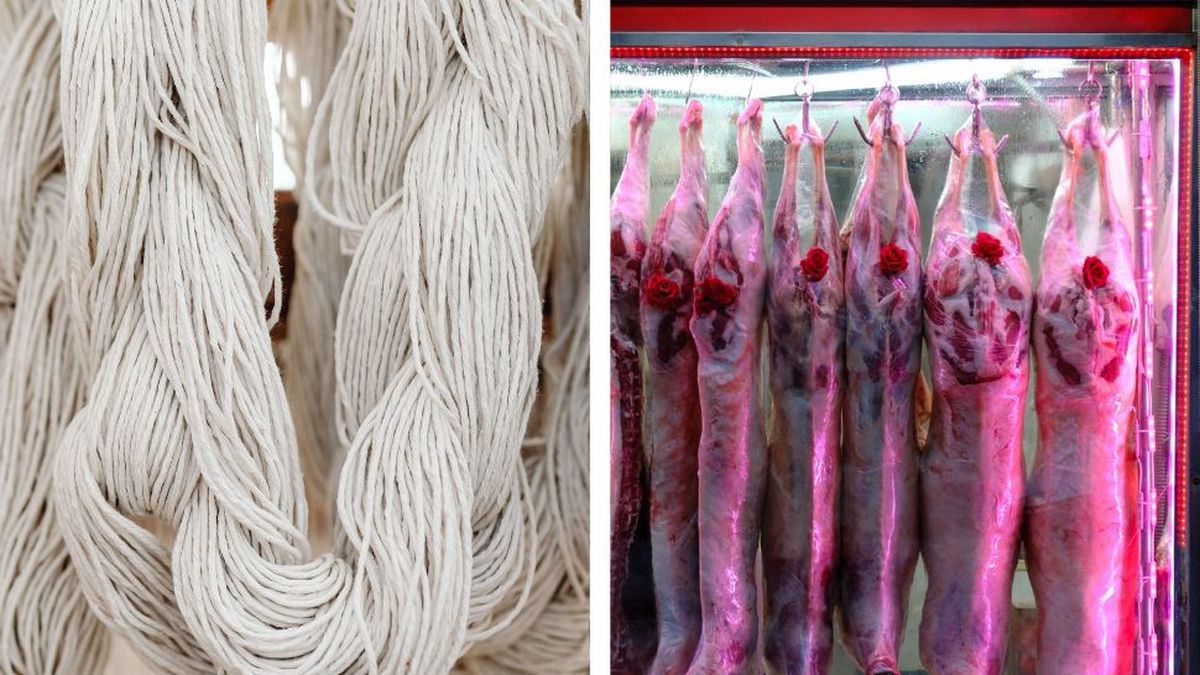 Ingresos de exportaciones ovinas se disparan 40% en primer semestre, impulsados por lana y carne