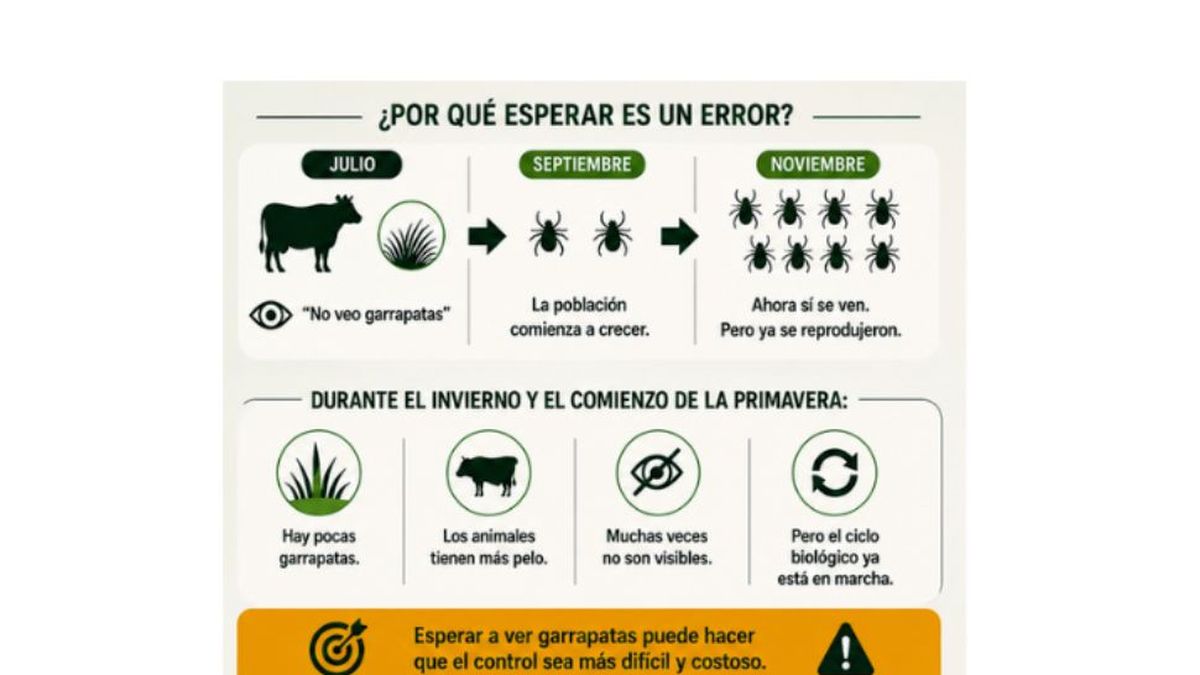 El MGAP emite una nueva directriz para optimizar el control de la garrapata bovina