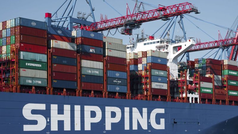 Carne bovina, celulosa y lácteos explican casi la mitad de todos los ingresos por exportaciones de bienes