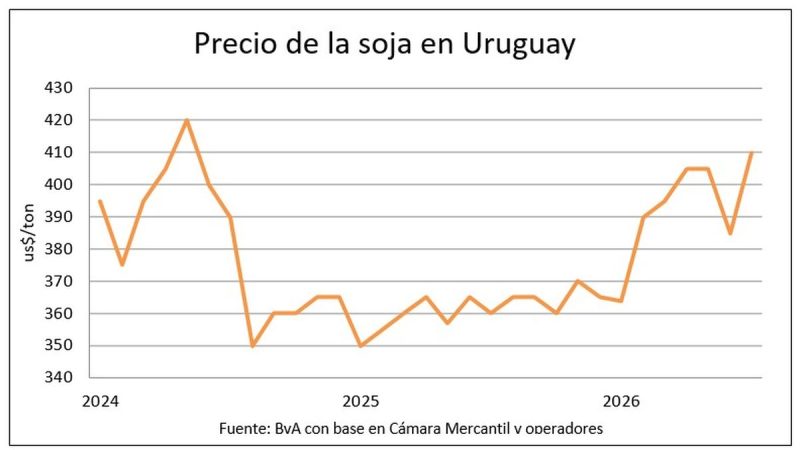 Los granos uruguayos alcanzan sus cotizaciones más elevadas en años, impulsados por conflictos y clima