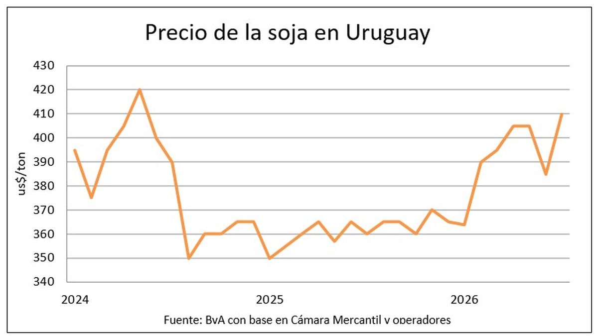 Los granos uruguayos alcanzan sus cotizaciones más elevadas en años, impulsados por conflictos y clima