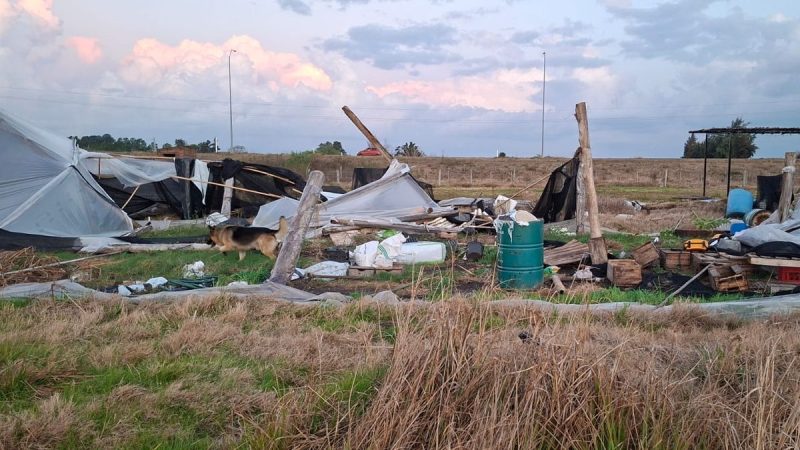 "Venite y preparate para lo peor": así vivieron los productores el temporal que destrozó sus granjas