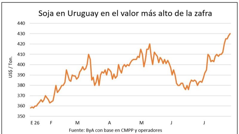 Soja 2027 se cotiza hasta en US$ 420 por tonelada, impulsada por un mercado de granos en ascenso