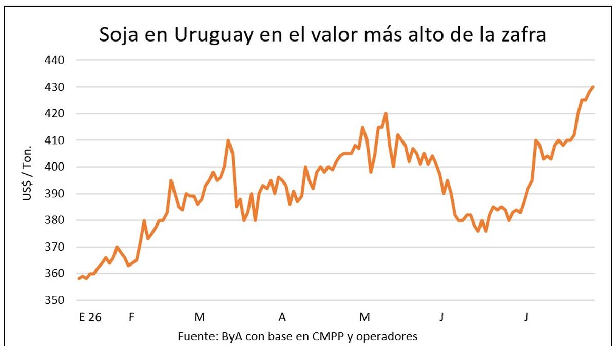 Soja 2027 se cotiza hasta en US$ 420 por tonelada, impulsada por un mercado de granos en ascenso