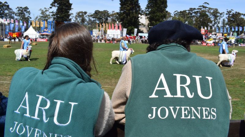 La Expo Rural del Prado 2026: Aumento de Animales Inscritos y la Renovación Total de sus Históricos Pabellones